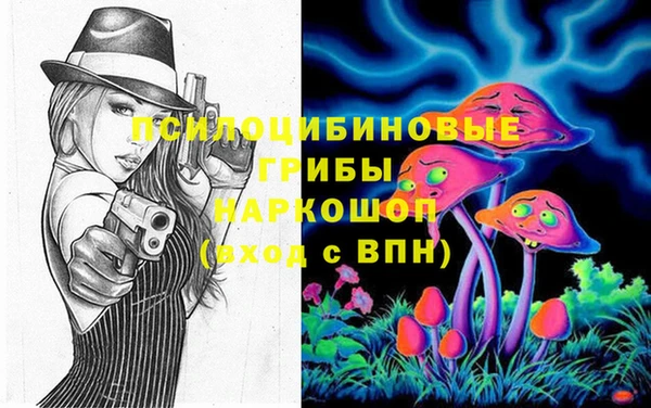 соль ск Михайловск